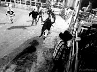 Derick Costa Jr., 10,  successfully rides his second bull at the final event in the New England Rodeo championship in Norton, MA.